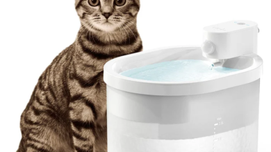 Modern Cat Water Fountains