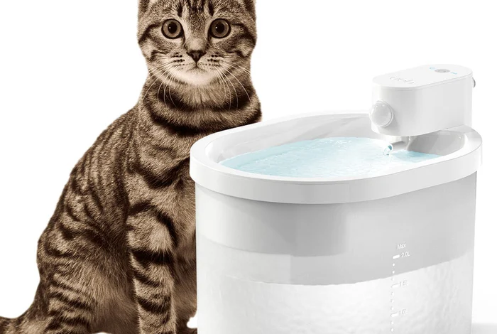 Modern Cat Water Fountains