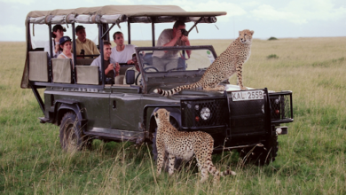 Kenya Tour Safaris