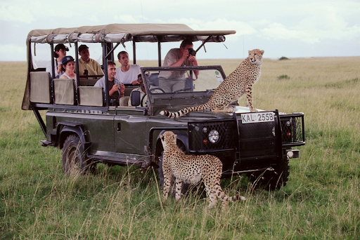 Kenya Tour Safaris